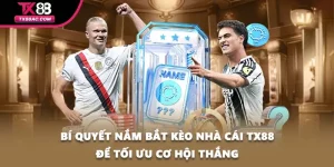 Bí Quyết Nắm Bắt Kèo Nhà Cái TX88 Để Tối Ưu Cơ Hội Thắng