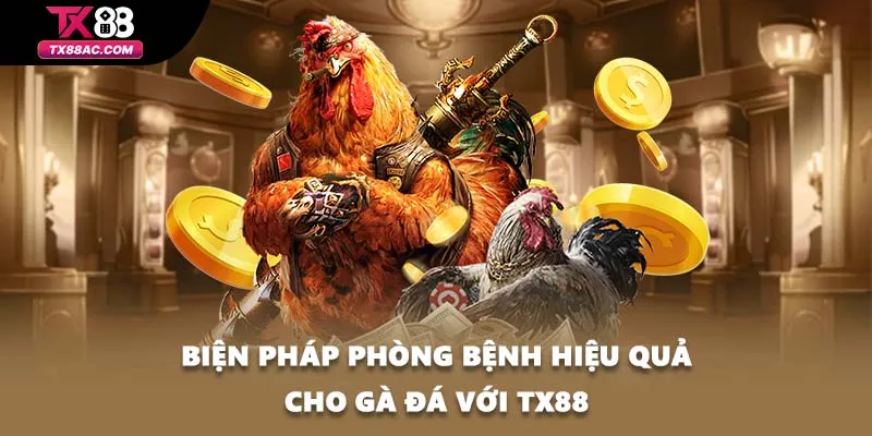 Biện pháp phòng bệnh hiệu quả cho gà đá với TX88