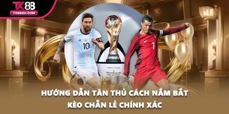 Hướng dẫn tân thủ cách nắm bắt kèo chẵn lẻ chính xác