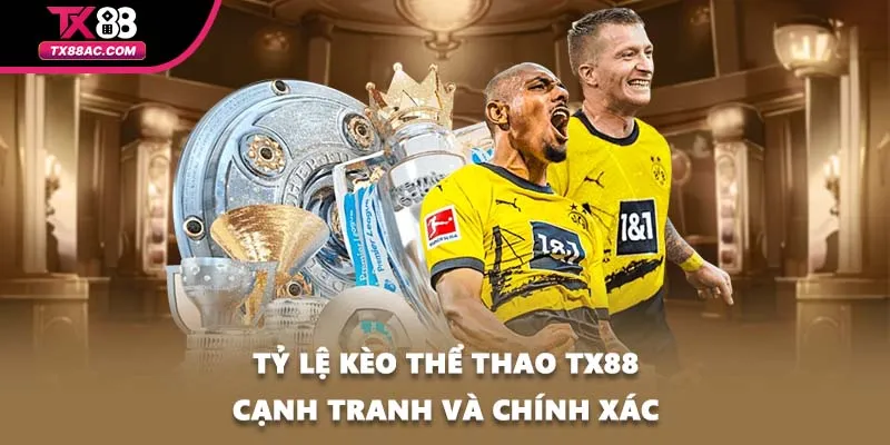Tỷ lệ kèo thể thao TX88 cạnh tranh và chính xác
